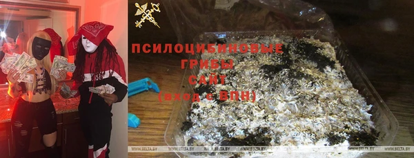 СК Кукмор