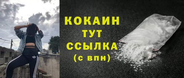 СК Кукмор