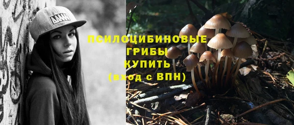 СК Кукмор