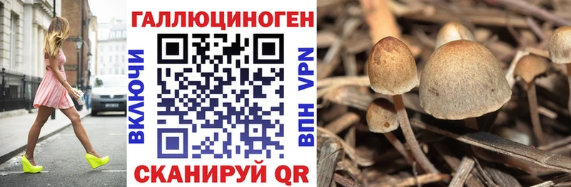 мориарти официальный сайт купить наркоту Хвалынск Псилоцибиновые грибы прущие грибы